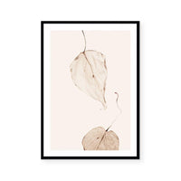 Fall II