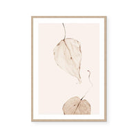 Fall II