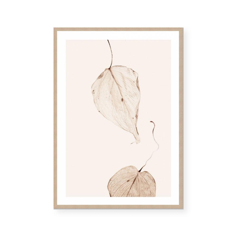 Fall II