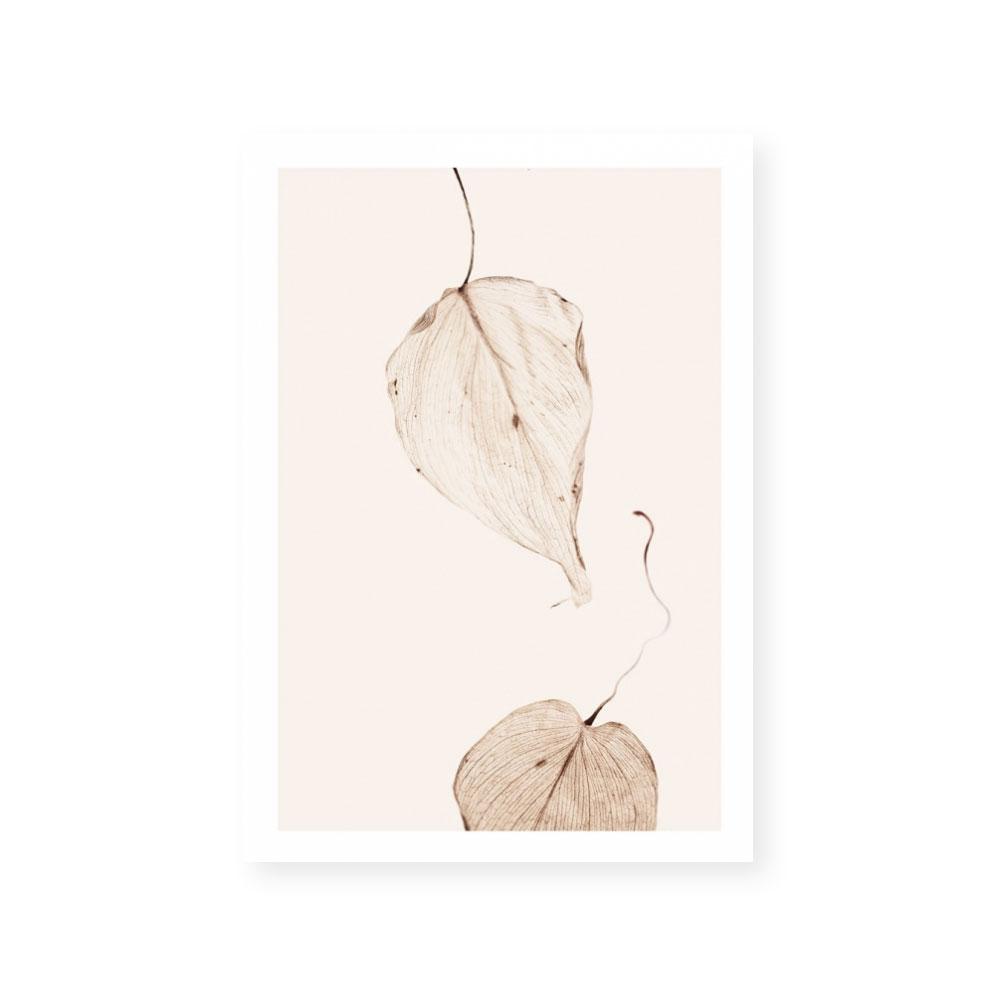 Fall II