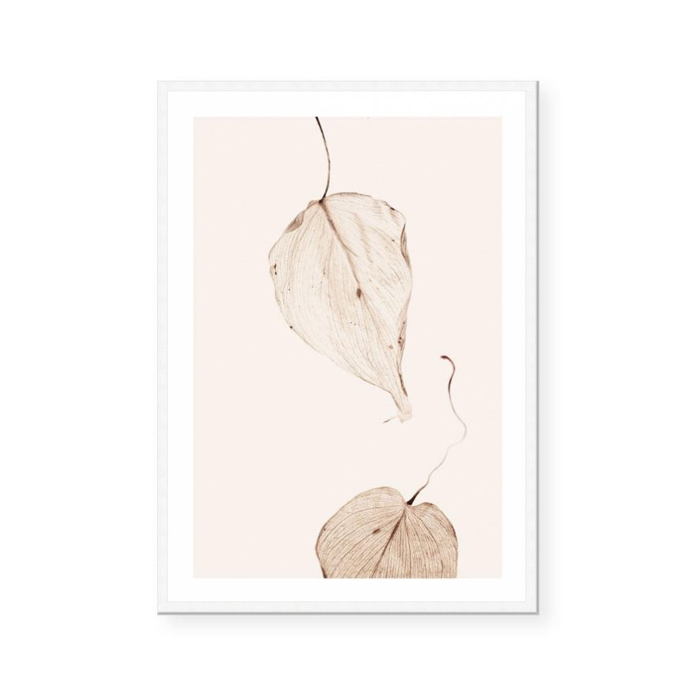 Fall II