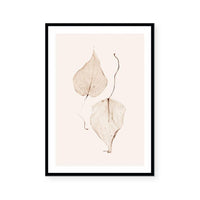 Fall I