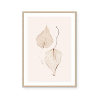 Fall I