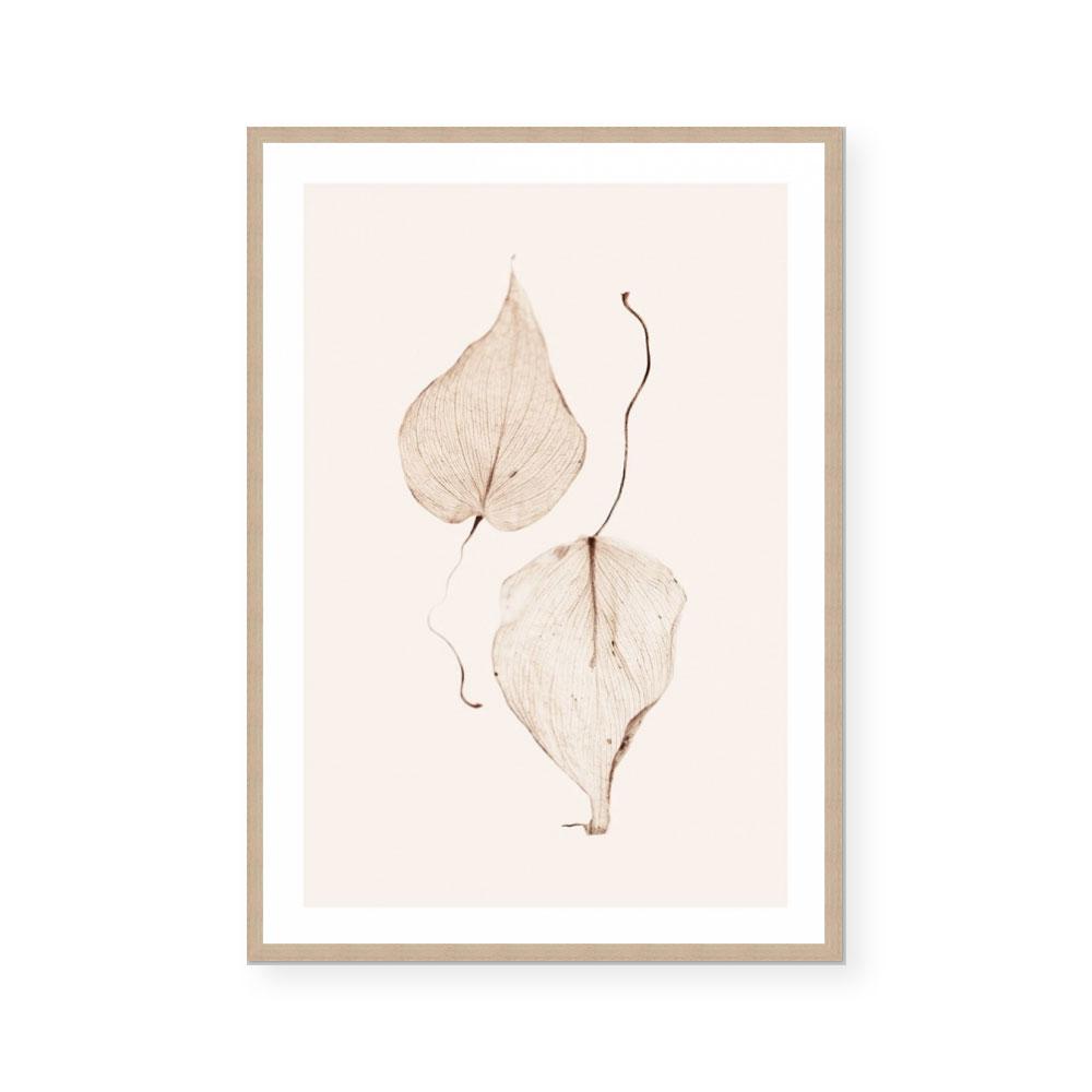 Fall I
