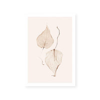 Fall I