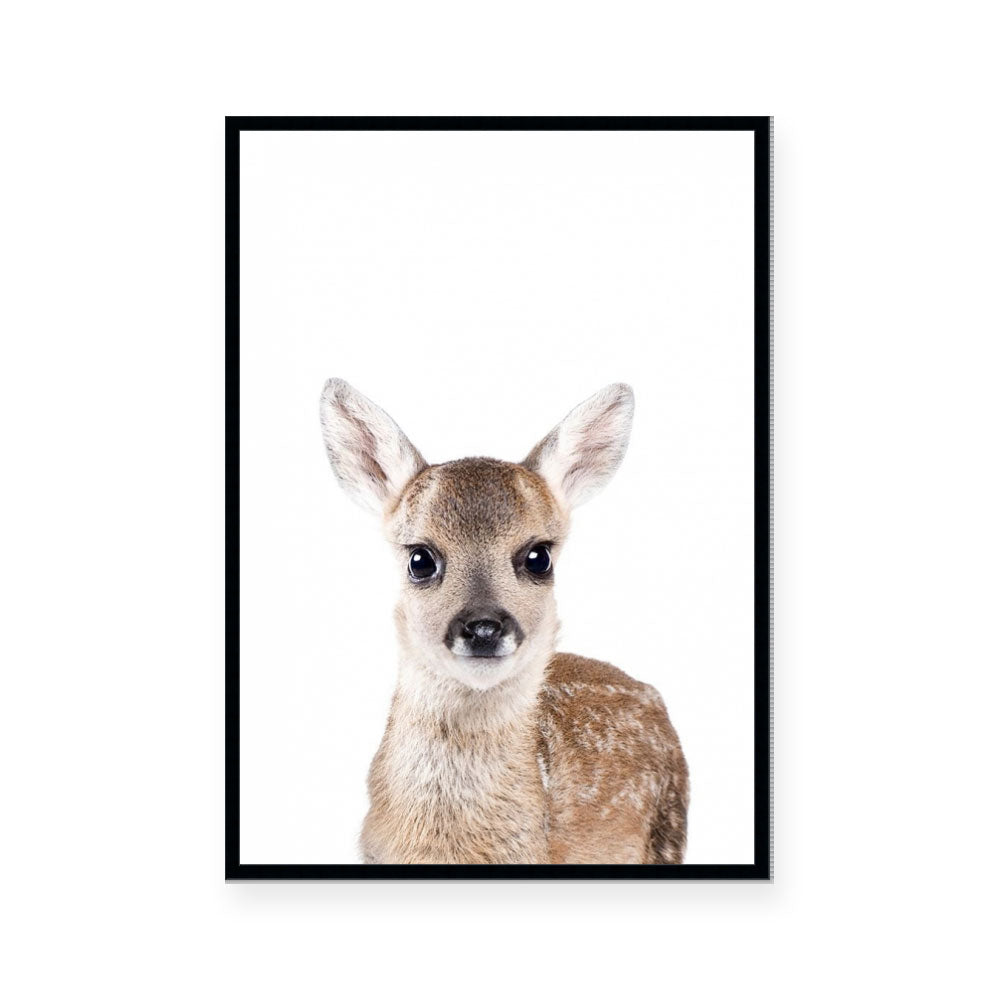 Fawn | Portrait