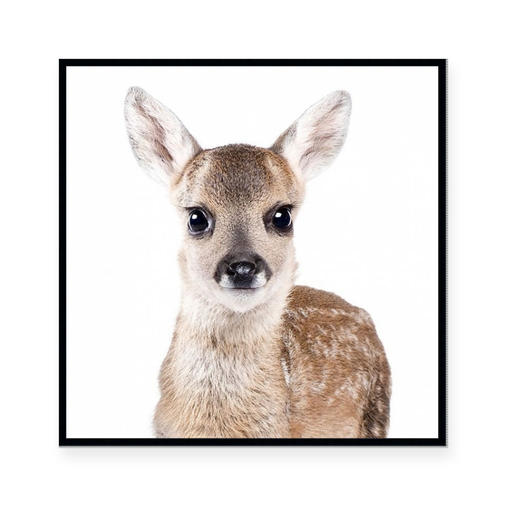 Fawn | Square