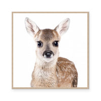 Fawn | Square