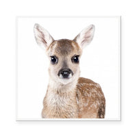 Fawn | Square