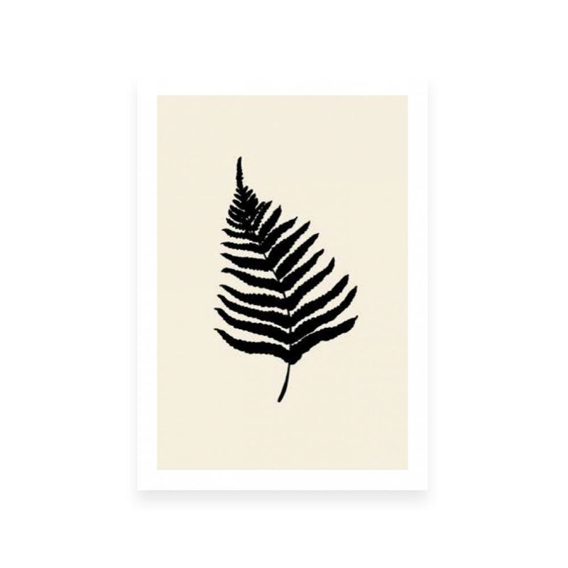 Fern