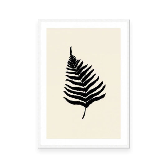 Fern