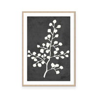 Fern Silhouette II
