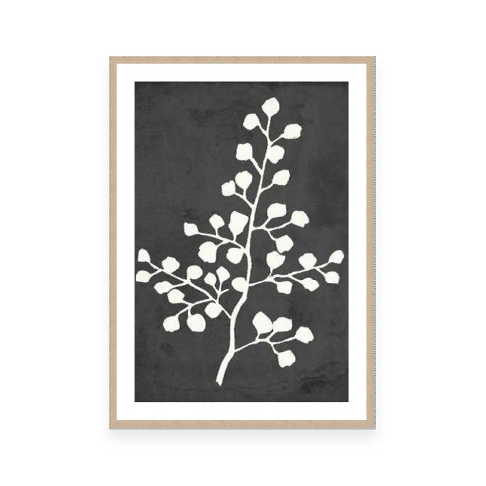 Fern Silhouette II