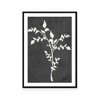 Fern Silhouette I