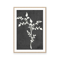 Fern Silhouette I