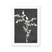 Fern Silhouette I