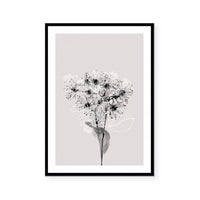 Floral Impressions III