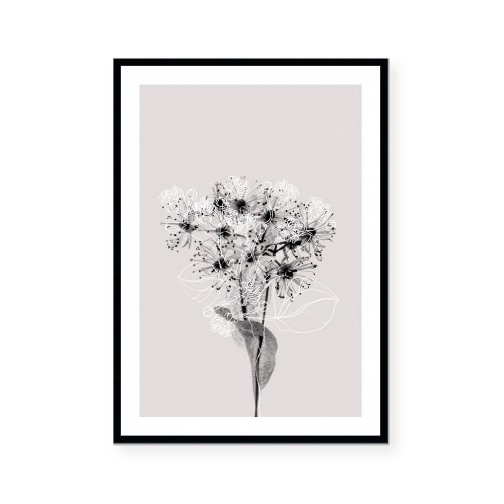 Floral Impressions III