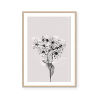 Floral Impressions III