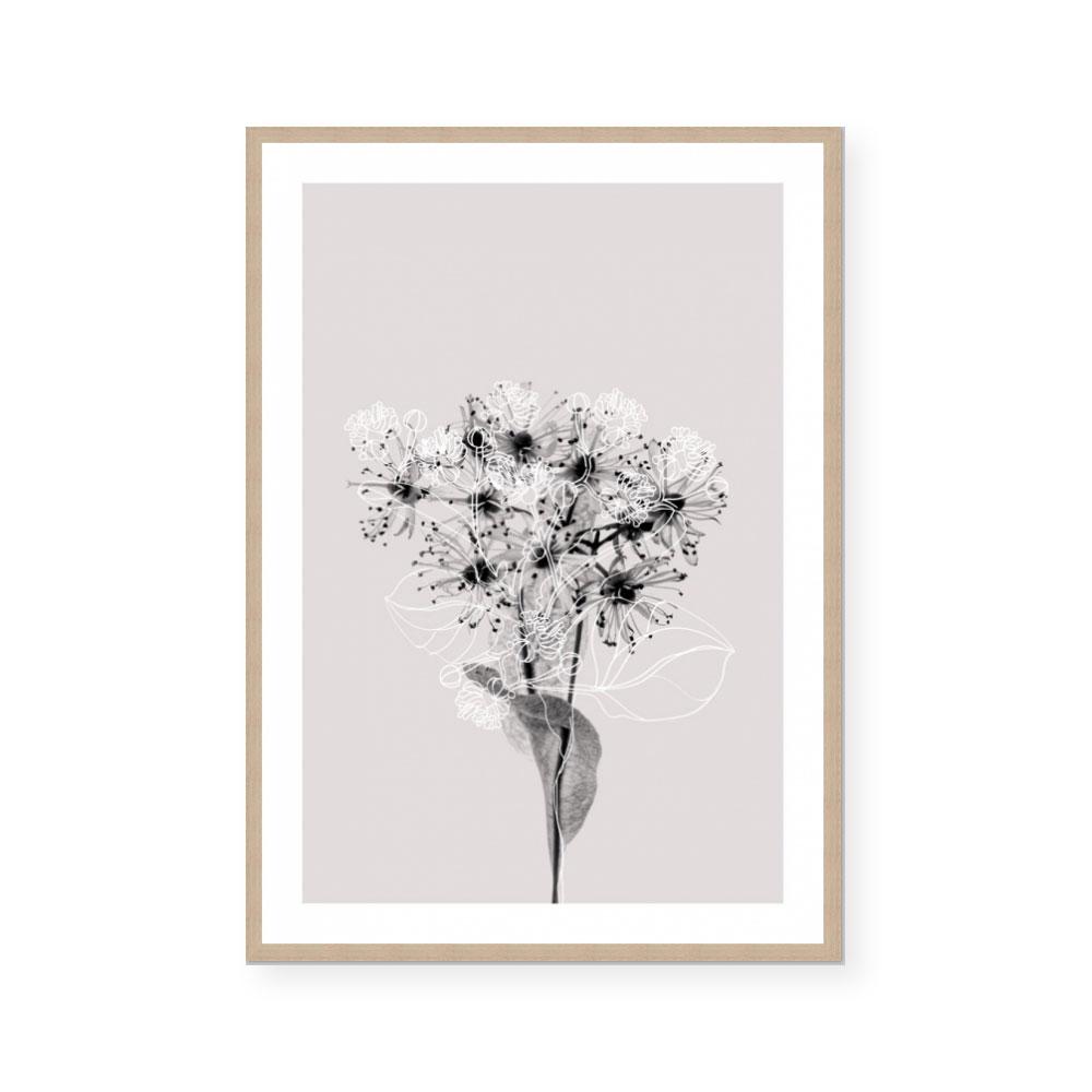 Floral Impressions III