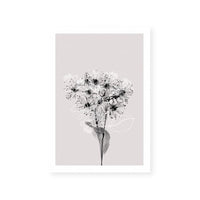 Floral Impressions III