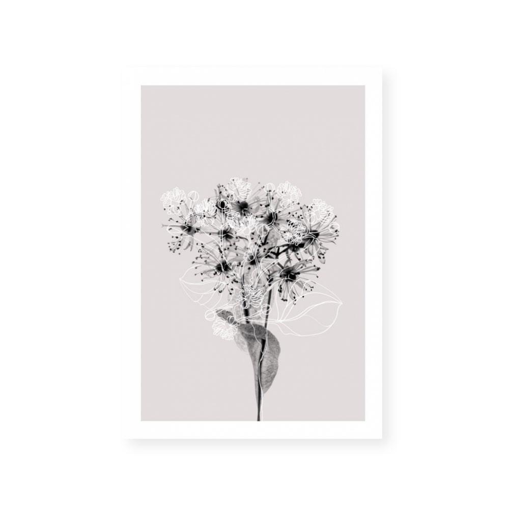 Floral Impressions III