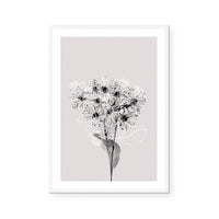 Floral Impressions III