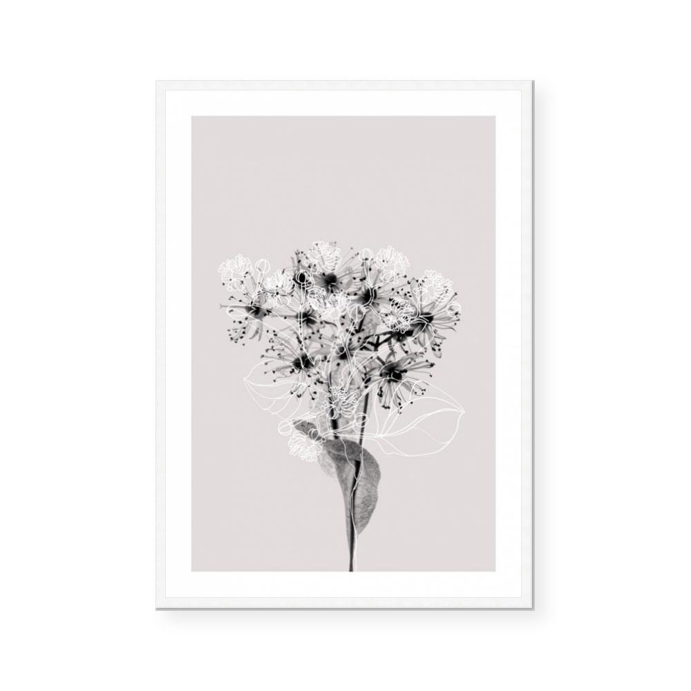 Floral Impressions III