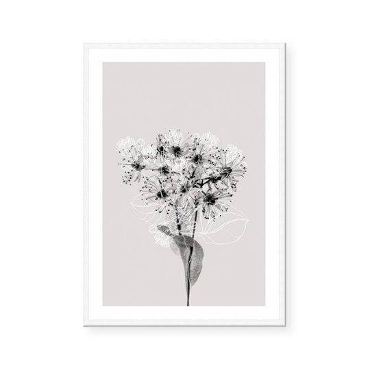 Floral Impressions III