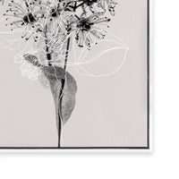 Floral Impressions III