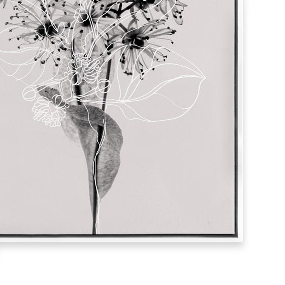 Floral Impressions III