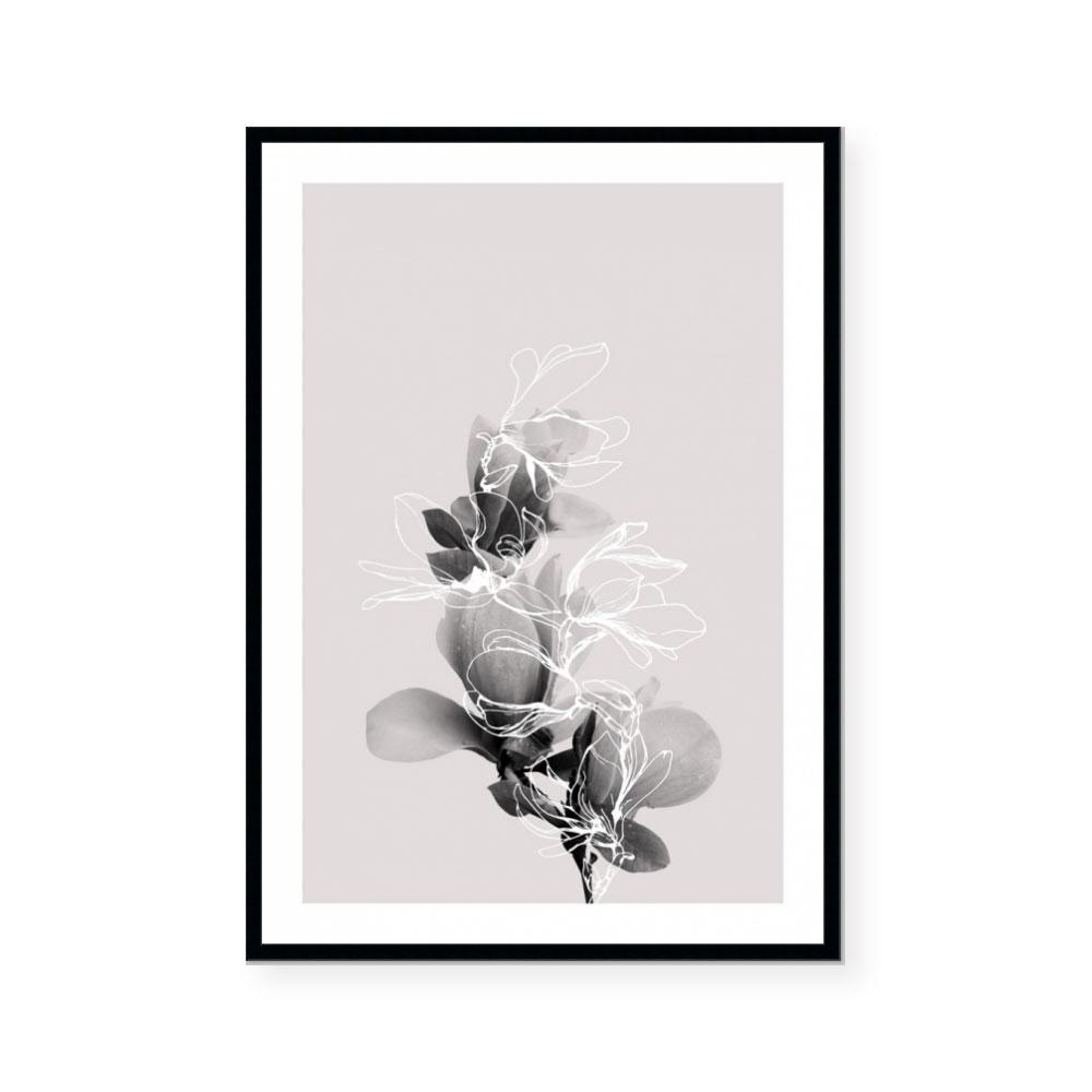 Floral Impressions II