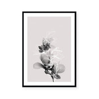 Floral Impressions II