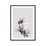 Floral Impressions II