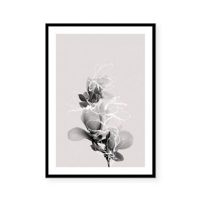 Floral Impressions II