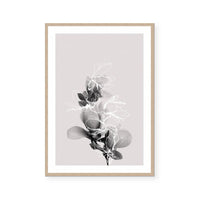 Floral Impressions II