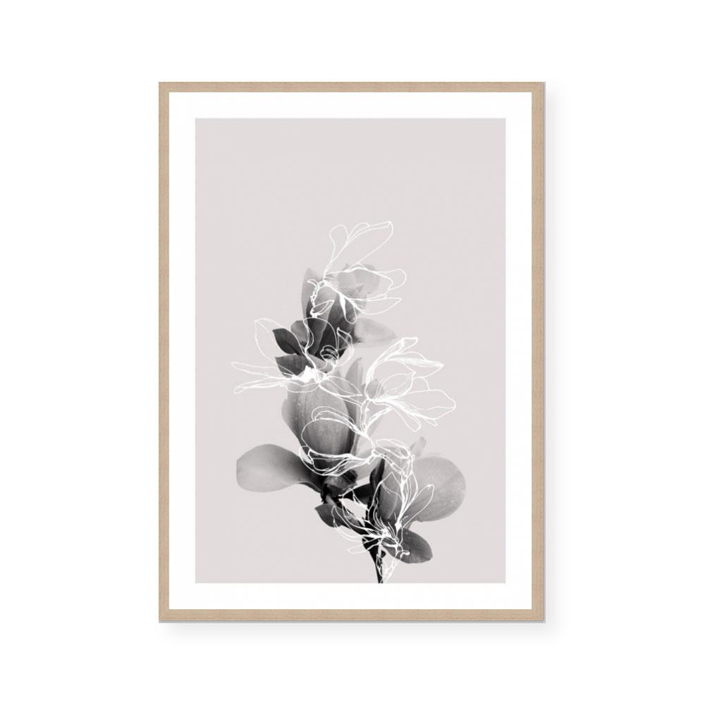 Floral Impressions II