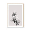 Floral Impressions II