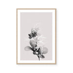 Floral Impressions II