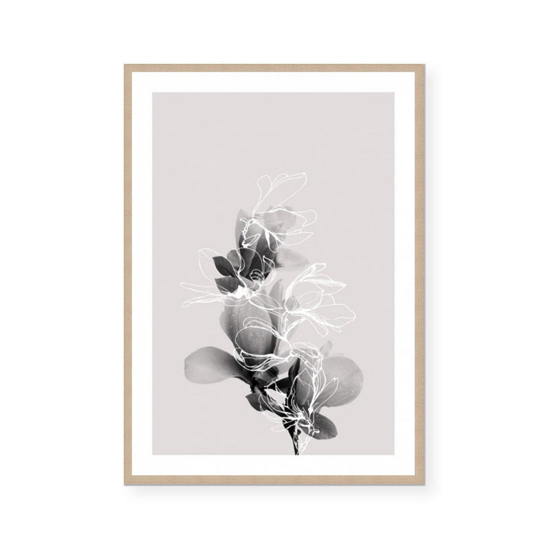 Floral Impressions II