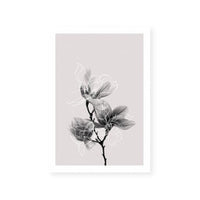 Floral Impressions II