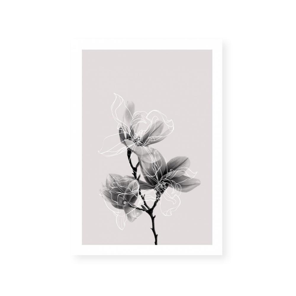 Floral Impressions II