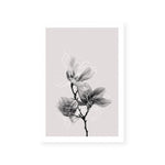 Floral Impressions II