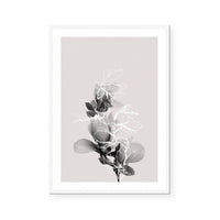 Floral Impressions II