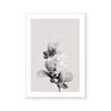 Floral Impressions II