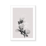 Floral Impressions II