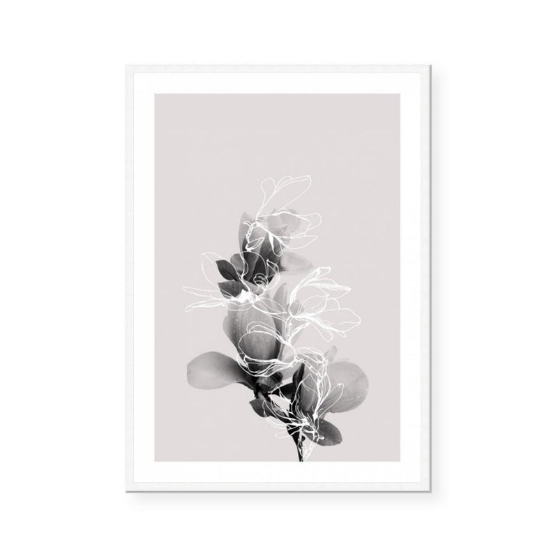 Floral Impressions II
