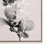 Floral Impressions II