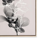 Floral Impressions II