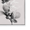 Floral Impressions II